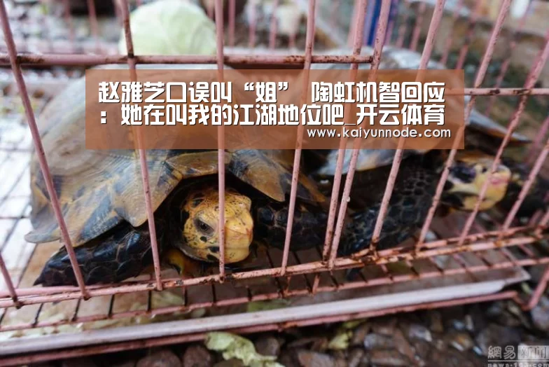 赵雅芝口误叫“姐” 陶虹机智回应:她在叫我的江湖地位吧_开云体育官网