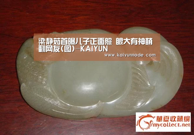 梁静茹首曝儿子正面照 眼大有神萌翻网友(图)-KAIYUN