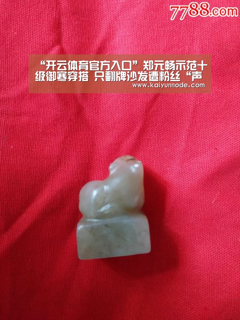 “开云体育官方入口”郑元畅示范十级御寒穿搭 只翻牌沙发遭粉丝“声讨”