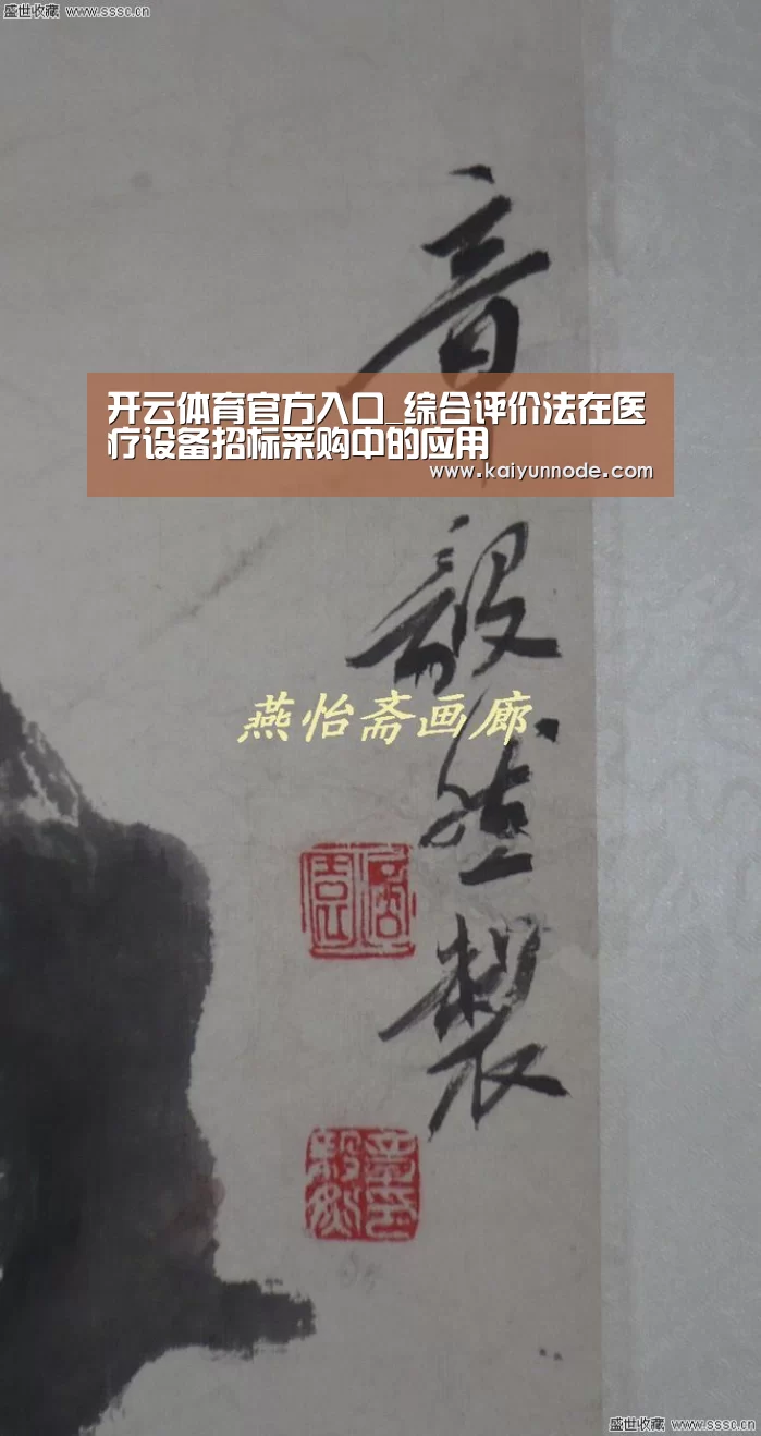 开云体育官方入口_综合评价法在医疗设备招标采购中的应用(图2) 开云体育官方入口